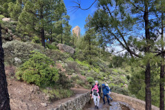 Varful Roque Nublo, Gran Canaria 101