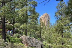 Varful Roque Nublo, Gran Canaria 102