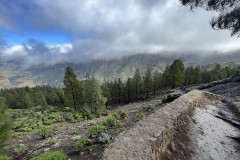 Varful Roque Nublo, Gran Canaria 103