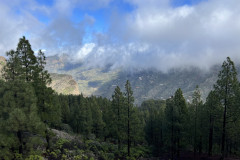 Varful Roque Nublo, Gran Canaria 104