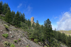 Varful Roque Nublo, Gran Canaria 105