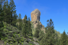 Varful Roque Nublo, Gran Canaria 106