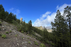 Varful Roque Nublo, Gran Canaria 107