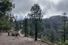 Varful Roque Nublo, Gran Canaria 111