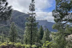 Varful Roque Nublo, Gran Canaria 112