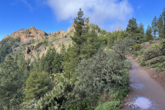 Varful Roque Nublo, Gran Canaria 116