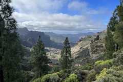 Varful Roque Nublo, Gran Canaria 118