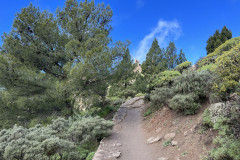 Varful Roque Nublo, Gran Canaria 119