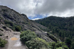 Varful Roque Nublo, Gran Canaria 120