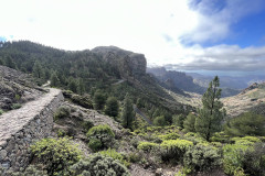 Varful Roque Nublo, Gran Canaria 122