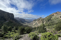 Varful Roque Nublo, Gran Canaria 127