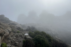 Varful Roque Nublo, Gran Canaria 13