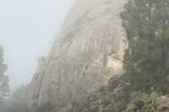 Varful Roque Nublo, Gran Canaria 14