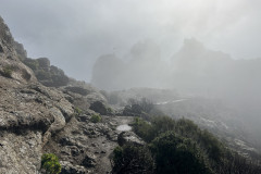 Varful Roque Nublo, Gran Canaria 18