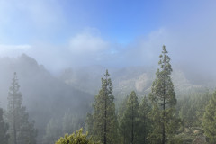 Varful Roque Nublo, Gran Canaria 19