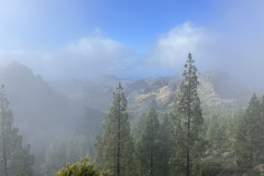 Varful Roque Nublo, Gran Canaria 23