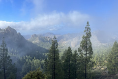 Varful Roque Nublo, Gran Canaria 24