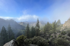 Varful Roque Nublo, Gran Canaria 25