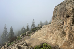 Varful Roque Nublo, Gran Canaria 31