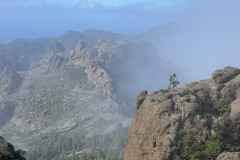 Varful Roque Nublo, Gran Canaria 47