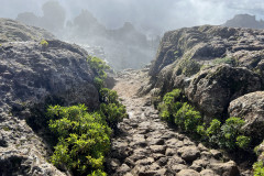 Varful Roque Nublo, Gran Canaria 59