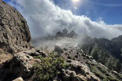 Varful Roque Nublo, Gran Canaria 69