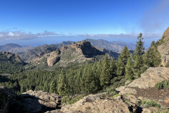 Varful Roque Nublo, Gran Canaria 77