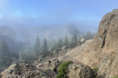 Varful Roque Nublo, Gran Canaria 81