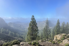 Varful Roque Nublo, Gran Canaria 82