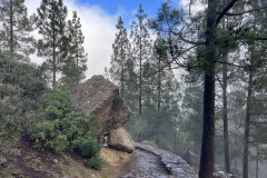 Varful Roque Nublo, Gran Canaria 85