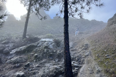 Varful Roque Nublo, Gran Canaria 86