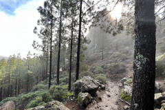 Varful Roque Nublo, Gran Canaria 88