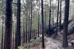 Varful Roque Nublo, Gran Canaria 89