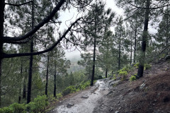 Varful Roque Nublo, Gran Canaria 94