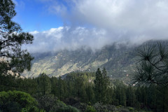 Varful Roque Nublo, Gran Canaria 95