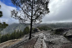 Varful Roque Nublo, Gran Canaria 98