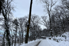 Vârful Tâmpa, iarna Brasov 10