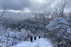 Vârful Tâmpa, iarna Brasov 100