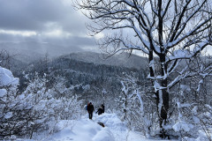 Vârful Tâmpa, iarna Brasov 102