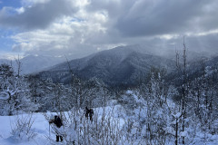 Vârful Tâmpa, iarna Brasov 105