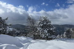 Vârful Tâmpa, iarna Brasov 107