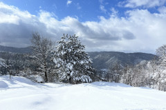 Vârful Tâmpa, iarna Brasov 113