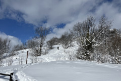 Vârful Tâmpa, iarna Brasov 115