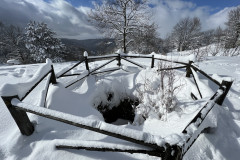 Vârful Tâmpa, iarna Brasov 118