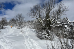 Vârful Tâmpa, iarna Brasov 125