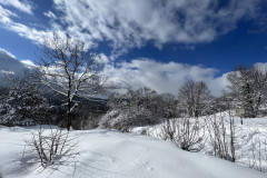 Vârful Tâmpa, iarna Brasov 129