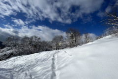 Vârful Tâmpa, iarna Brasov 130