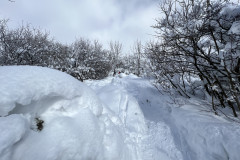 Vârful Tâmpa, iarna Brasov 148