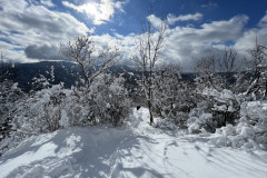 Vârful Tâmpa, iarna Brasov 152
