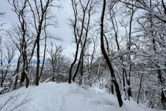 Vârful Tâmpa, iarna Brasov 186